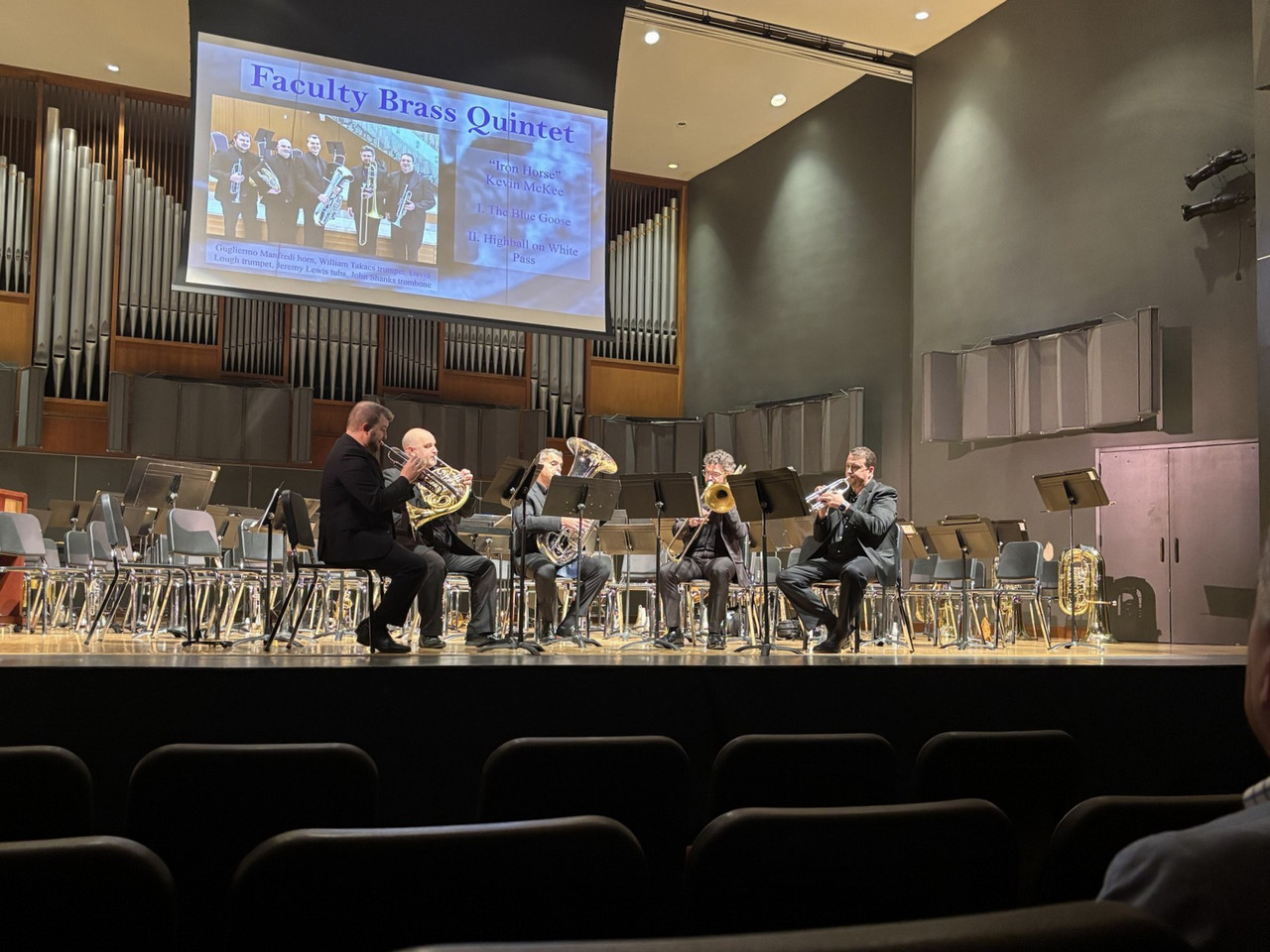 WorldMusicFestivalFBQold